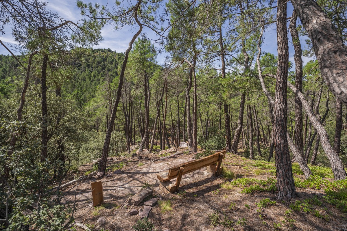 Senda de los Majalinontes