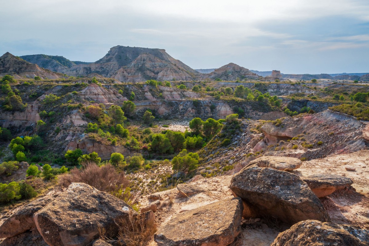 Desierto de los Monegros