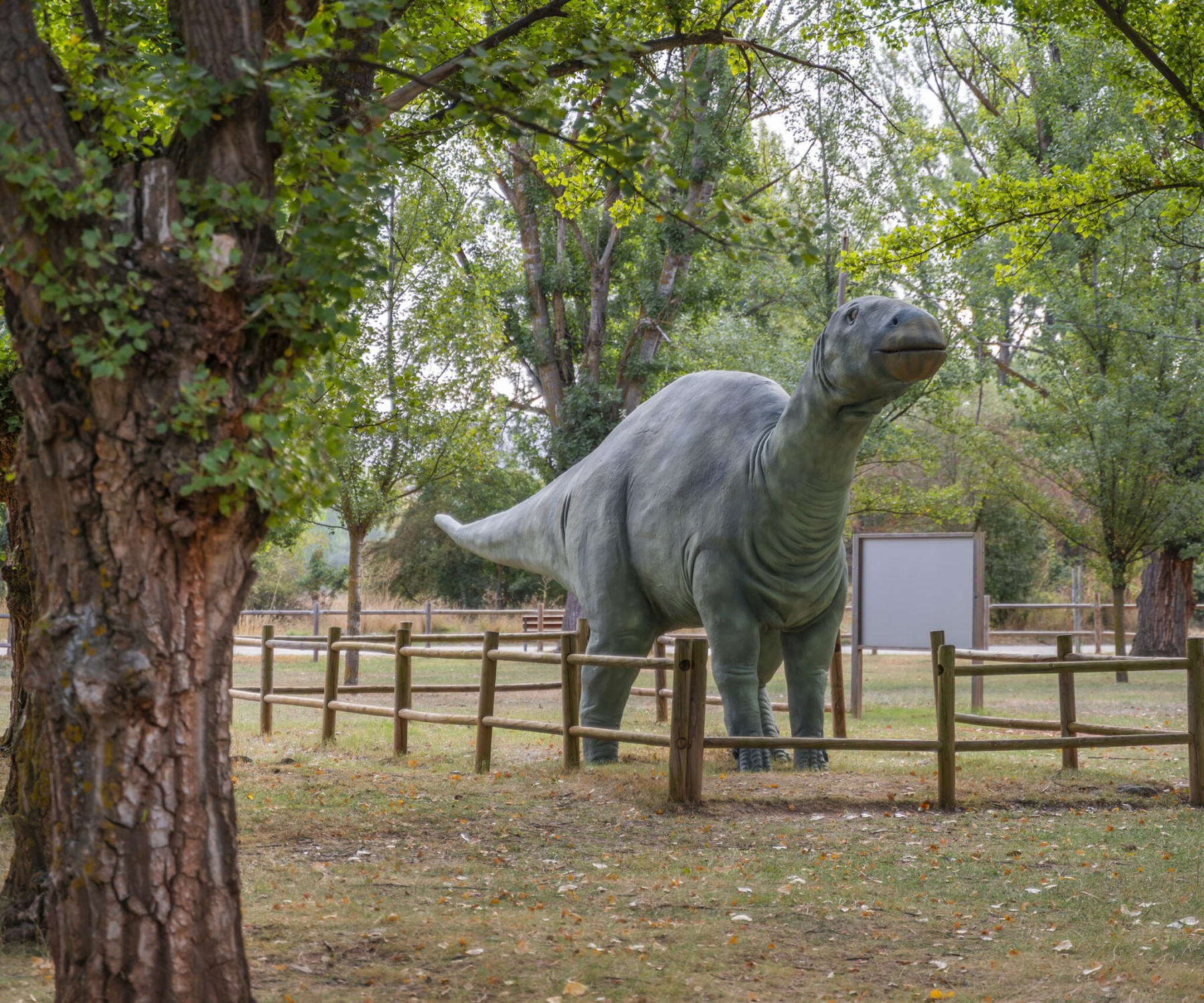 Senda dinosaurios en Galve