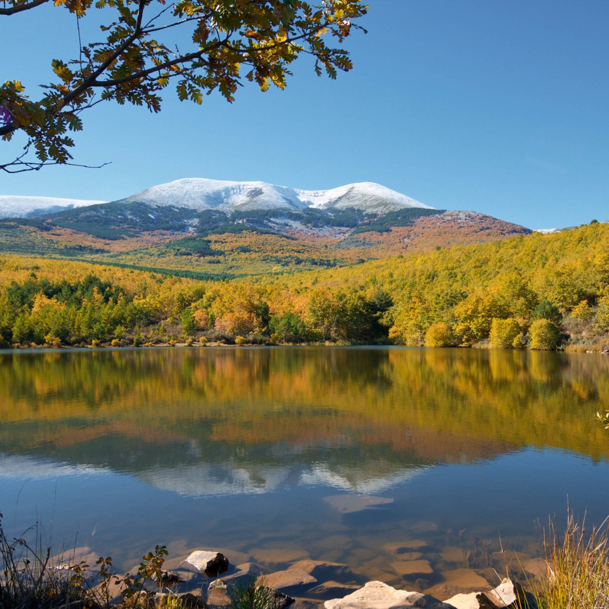 Parque Natural del Moncayo