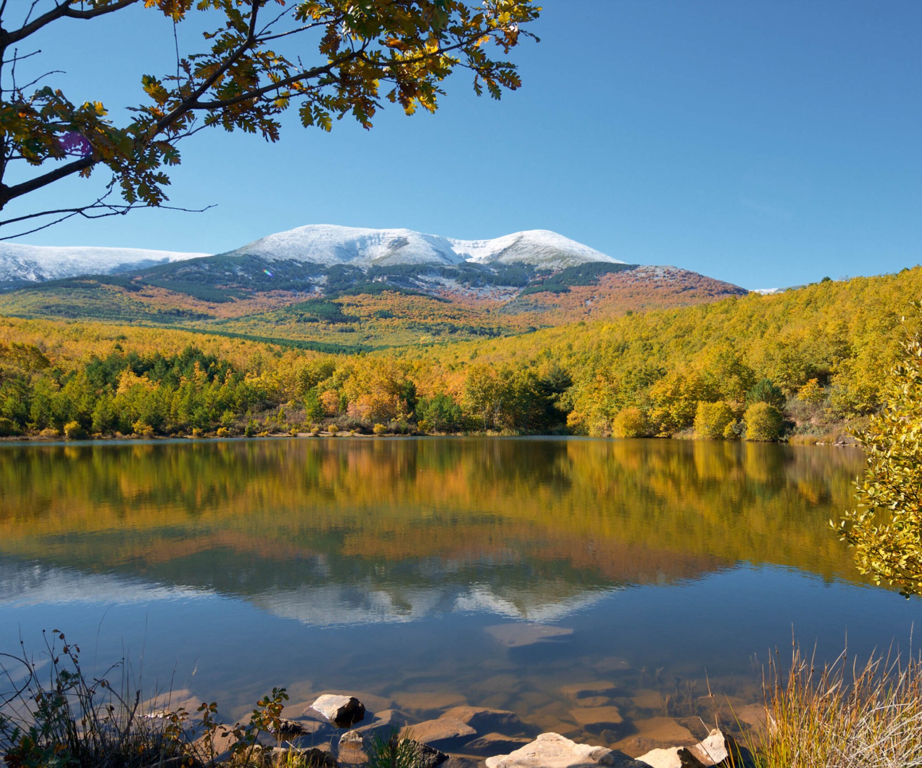 Parque Natural del Moncayo