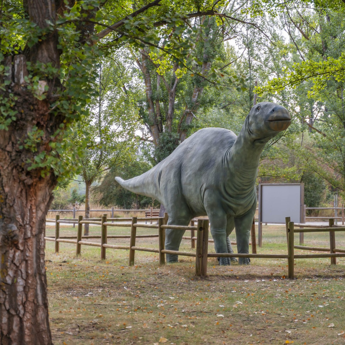 Senda dinosaurios en Galve