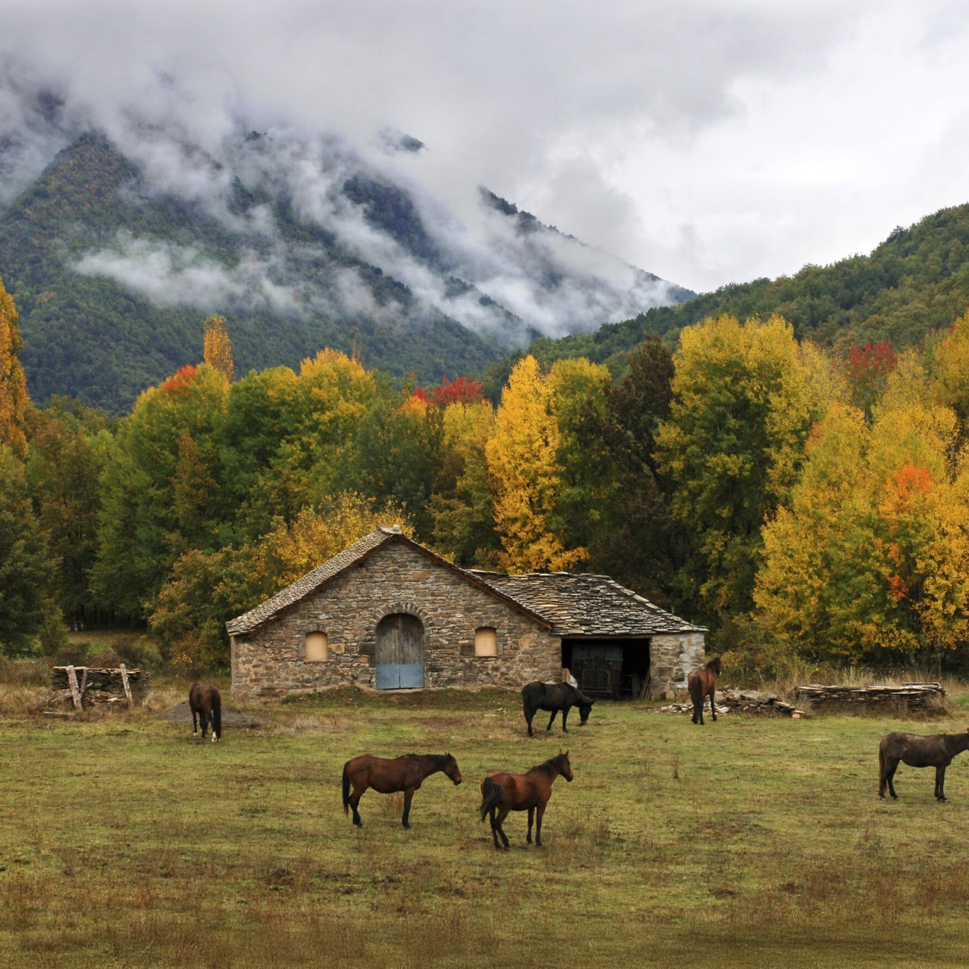 Mallos de Riglos - Huesca