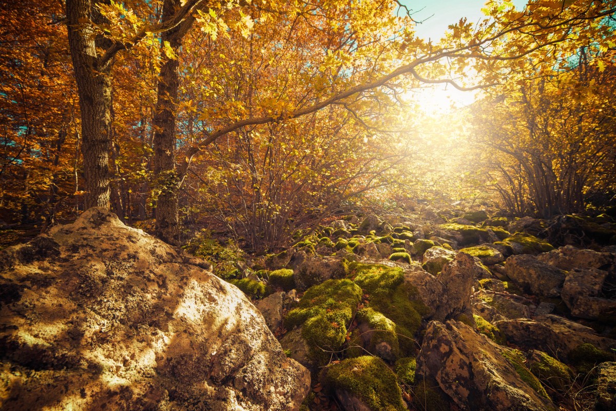 Parque Natural del Moncayo