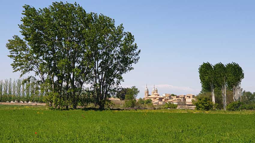 comarca ribera alta del ebro zaragoza