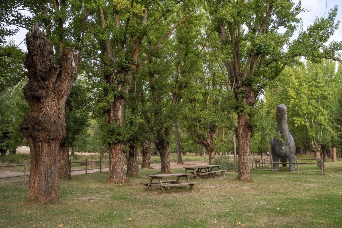 Senda dinosaurios en Galve