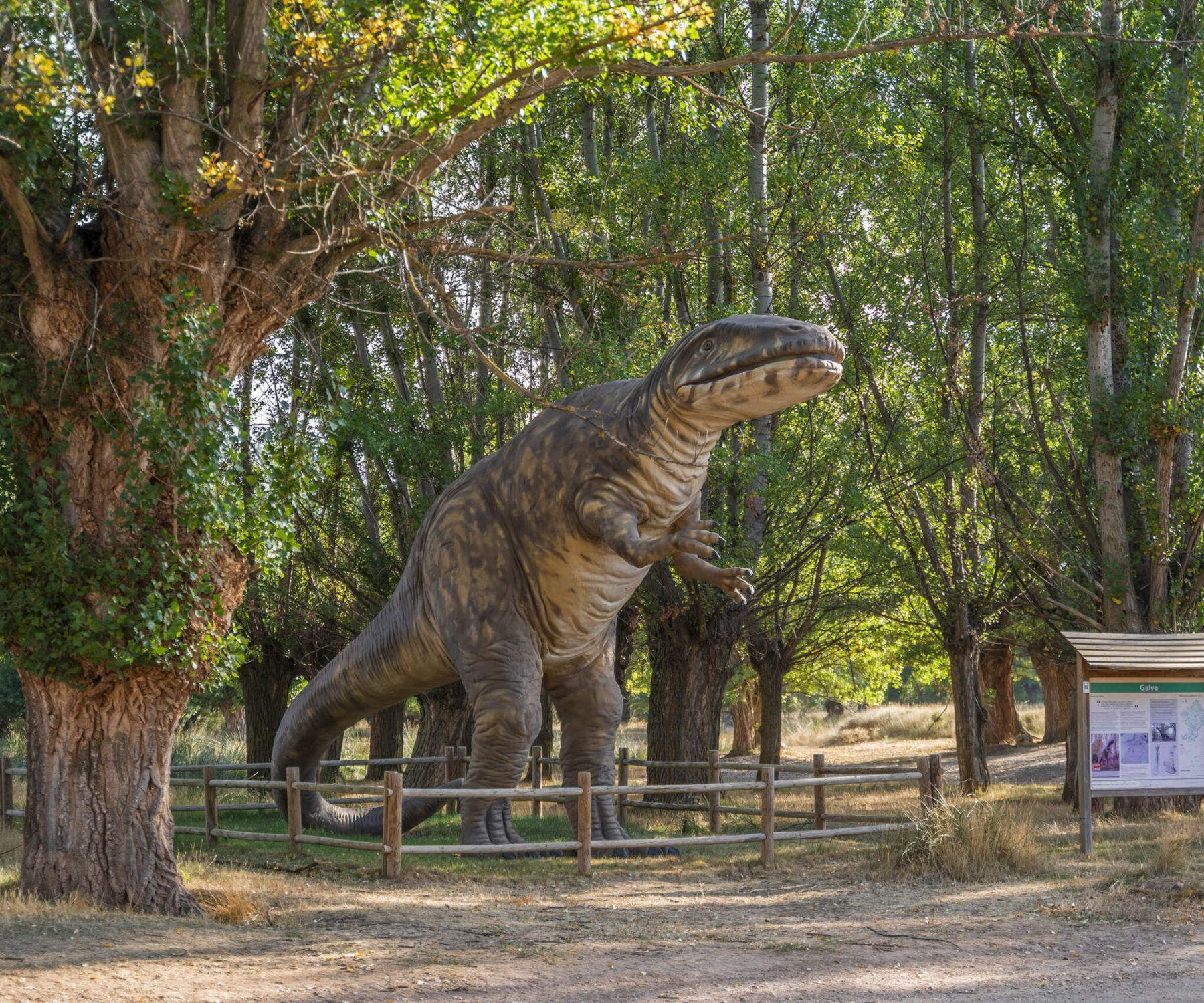 Senda dinosaurios en Galve