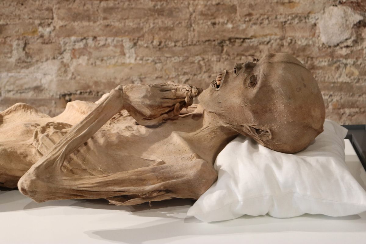 Museo de las Momias de Quinto