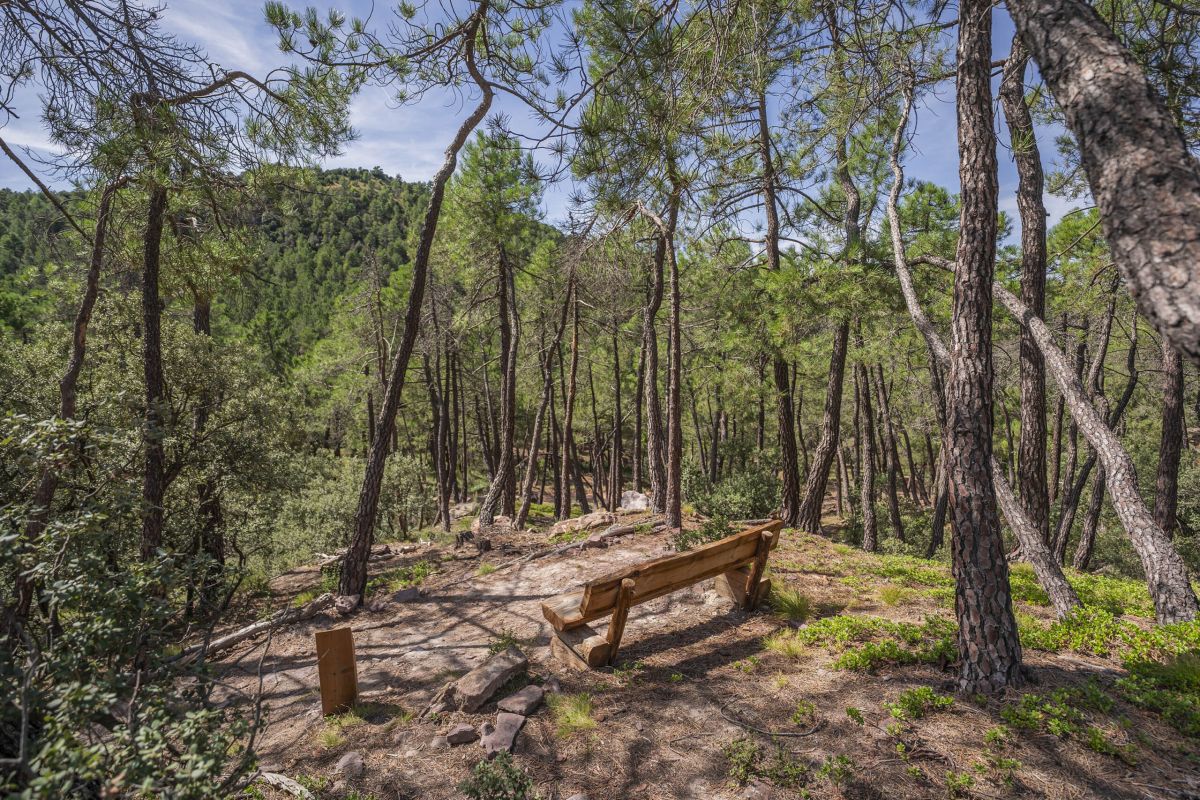 Senda de los Majalinontes